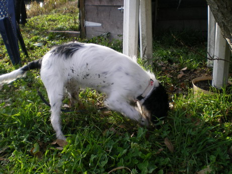 c0124619_736238.jpg