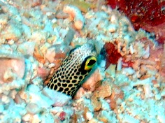 a0043520_2384184.jpg