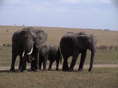 e0055023_1561769.jpg