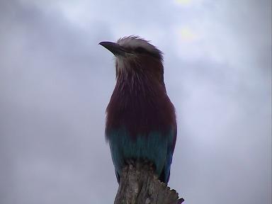 e0055023_24132.jpg