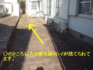 f0031037_15203983.jpg