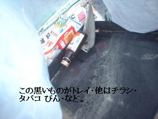 f0031037_1521392.jpg