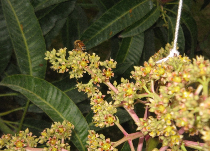 f0042737_22182130.jpg