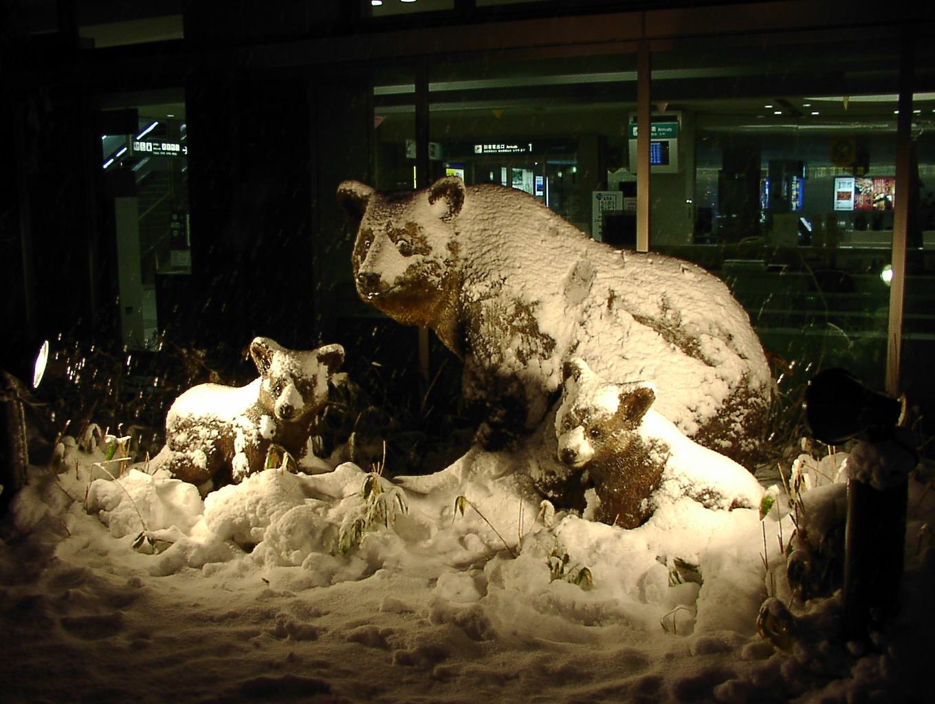 ひさしぶりの雪_f0113639_1652074.jpg