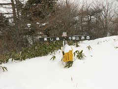 ふわっ ふわっ ふわっ ♪_f0019247_2314654.jpg