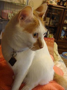 f0046854_20125454.jpg