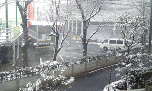 *雪*_a0013855_0102835.jpg