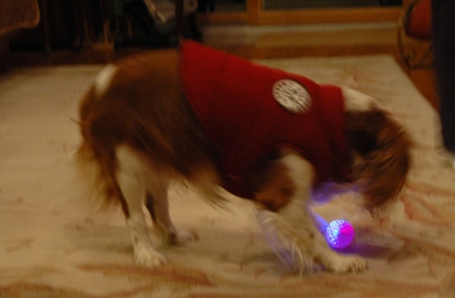c0055857_1112230.jpg