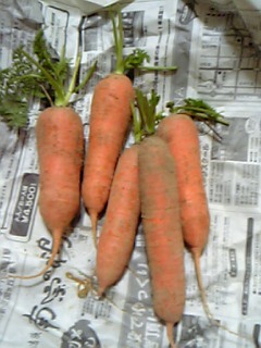 c0095870_836157.jpg