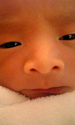 a0108380_1685680.jpg