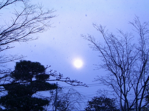 d0069498_1764583.jpg