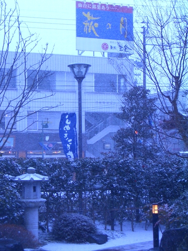 d0069498_177279.jpg