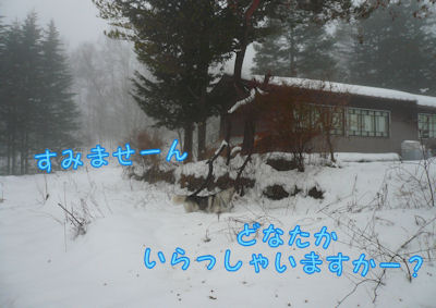 f0112407_1123715.jpg