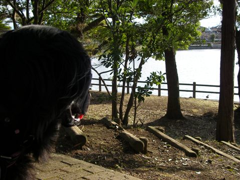 c0097309_16314375.jpg