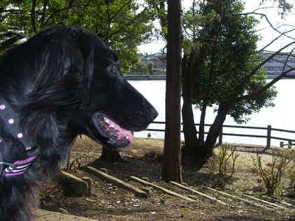 c0097309_1644079.jpg