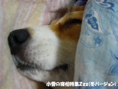 c0153410_1540625.jpg