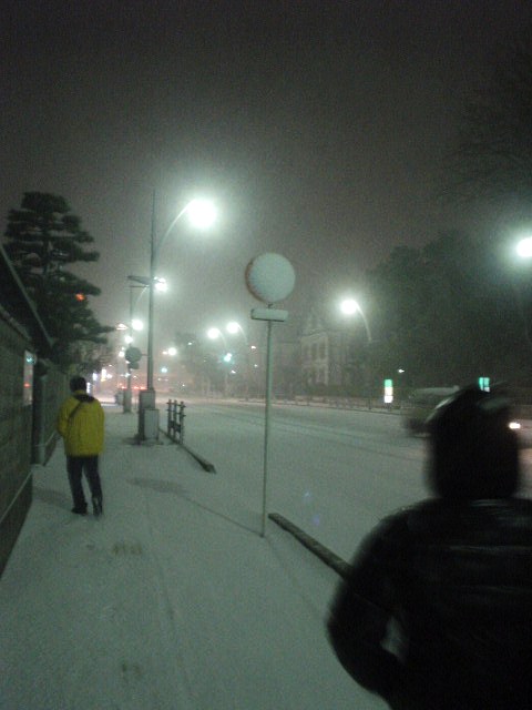 雪_d0039111_10285782.jpg