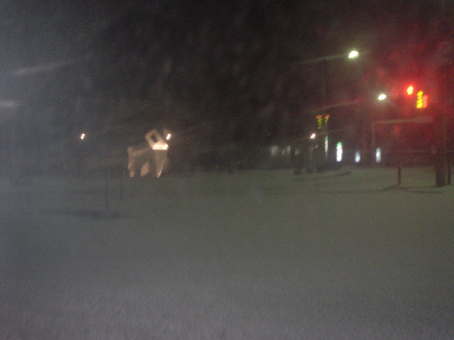 雪_d0039111_1136684.jpg