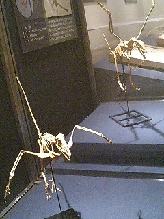 e0101411_18151017.jpg