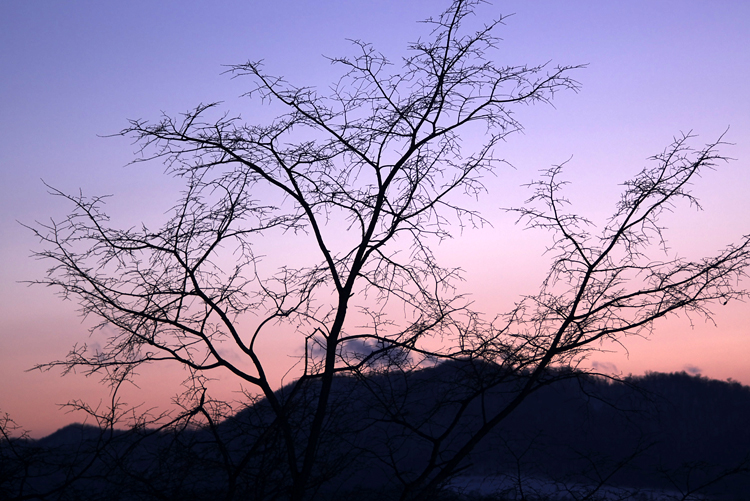 c0033513_17274494.jpg
