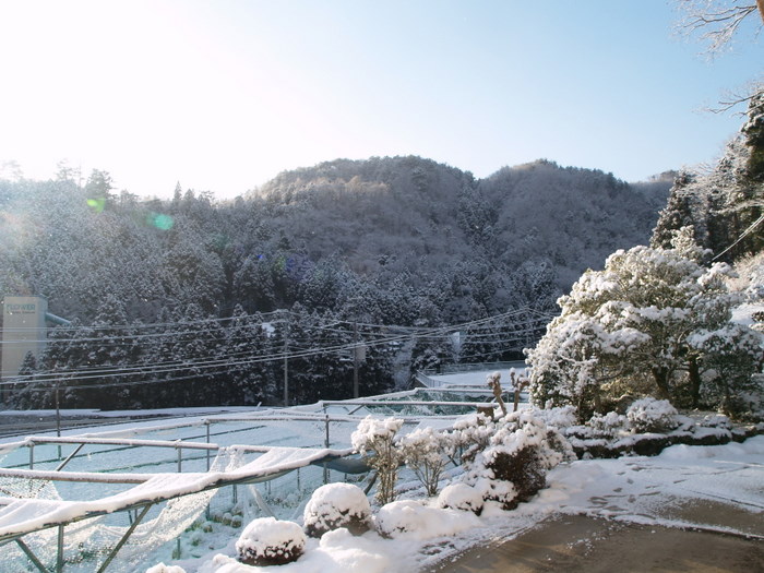 青空が見える雪景色_c0116915_20383851.jpg