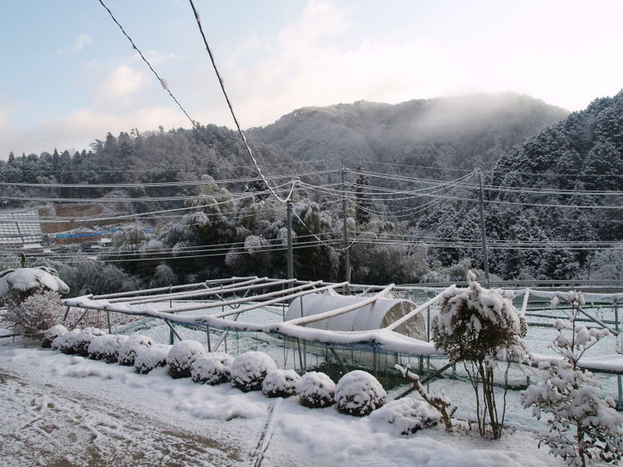 青空が見える雪景色_c0116915_2039754.jpg