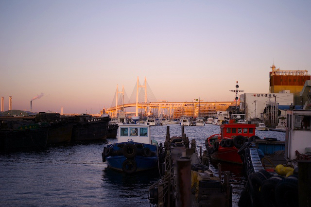 c0080716_20622.jpg