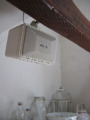 f0145916_1021358.jpg