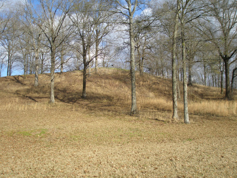 a0097322_8222685.jpg