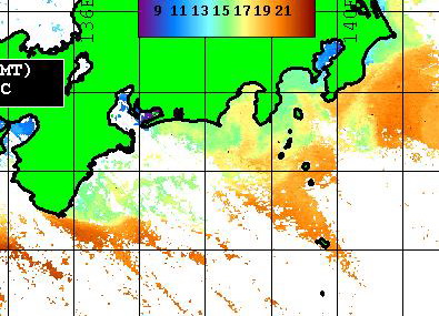 全国各地で寒波が吹き荒れ・・・  【カジキ マグロ トローリング】_f0009039_1494821.jpg