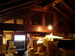 b0075140_25114.jpg