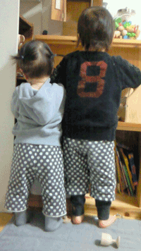 f0044043_11102449.gif