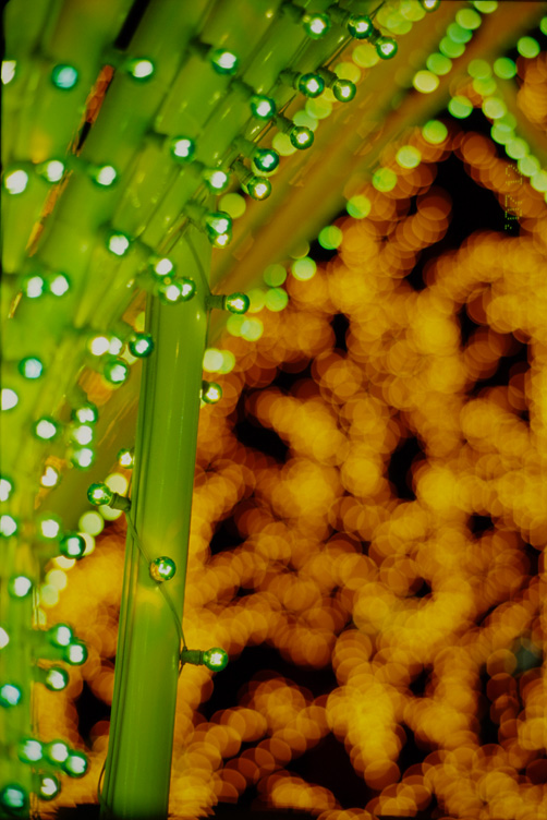 d0074844_214297.jpg