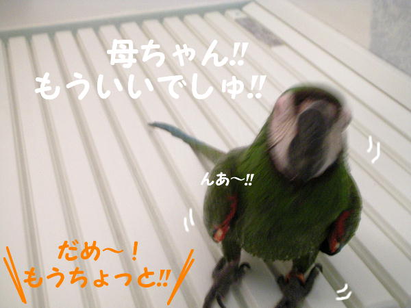 f0132055_0141719.jpg