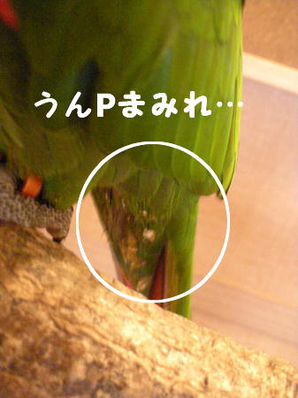 f0132055_08077.jpg
