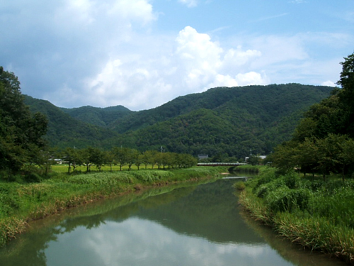 d0118876_19695.jpg