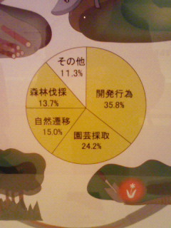 絶滅危惧植物の主な減少要因_c0055781_16193412.jpg