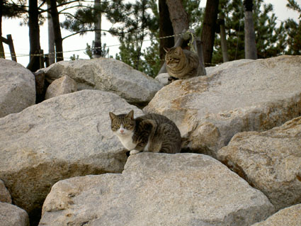 f0039487_120433.jpg