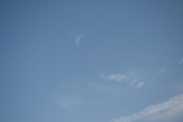e0122194_72892.jpg