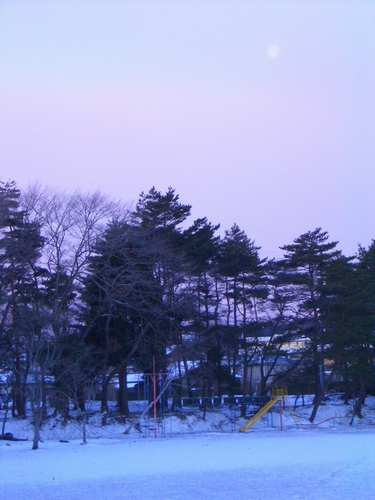 d0069498_12185867.jpg