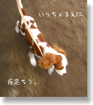 c0040201_21592557.jpg