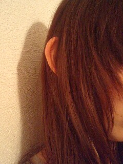 a0050302_7293031.jpg