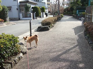 d0143214_2122371.jpg