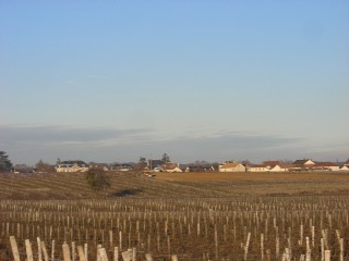 フランスから。。。メオ・カミュゼ編_e0025817_0215844.jpg