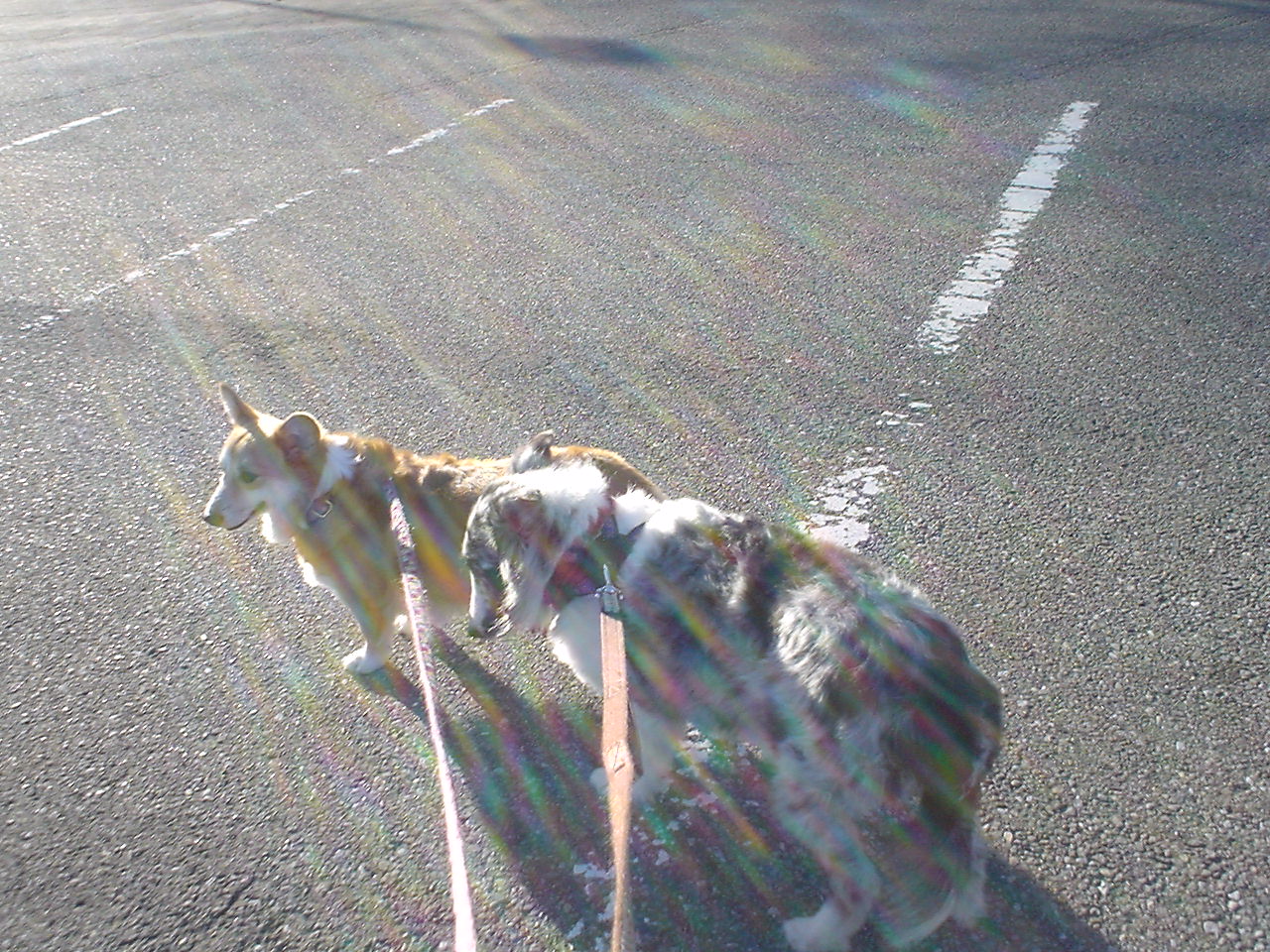 c0150520_071752.jpg