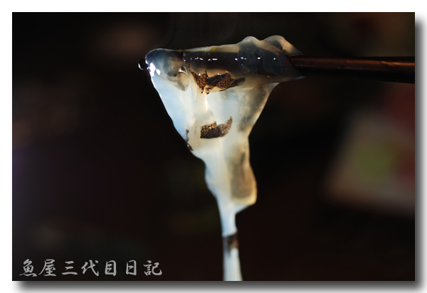 げんげ鍋........... ゼラチン質に包まれている身が最高！美容にも！？_d0069838_14383885.jpg