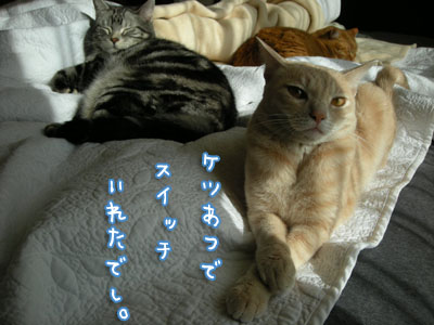 c0096342_04564.jpg