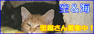 b0024945_11114443.gif