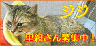 b0024945_15102639.gif