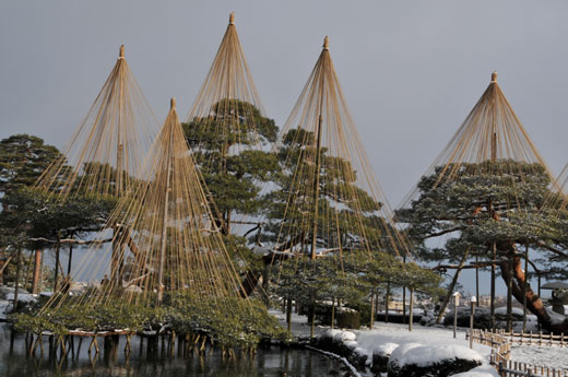 雪景色(兼六園1)_c0093046_1121852.jpg